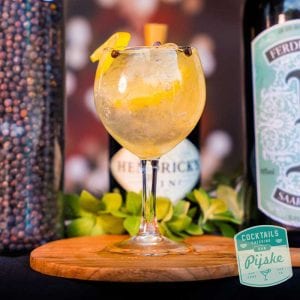 Cocktails-en-catering-Pijske-62