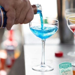 Cocktails-en-catering-Pijske-63